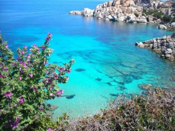 Casa Vacanze Pas Санта Тереза Галура Екстериор снимка